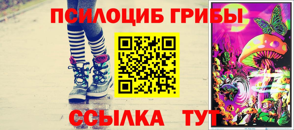 Псилоцибиновые грибы прущие грибы Ленинск-Кузнецкий